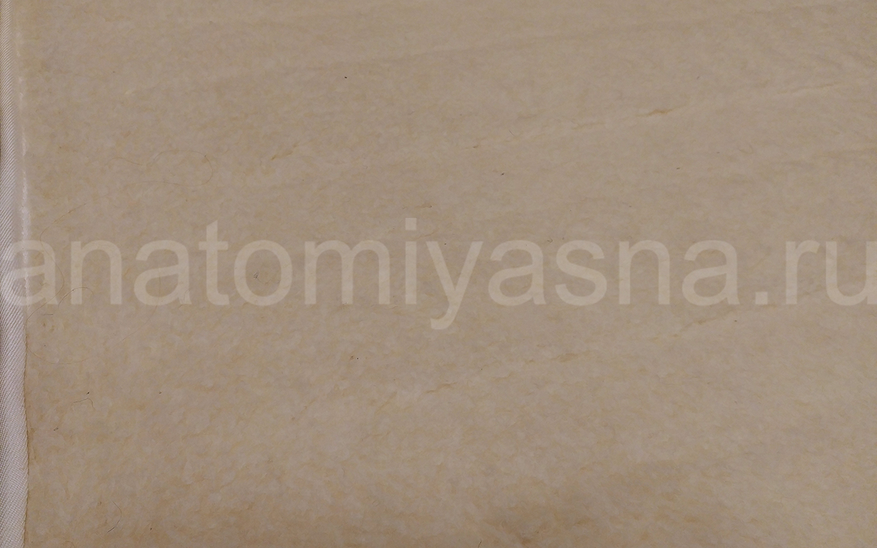 отзыв о Матрас Everest Ноу спринг Рестролл латекс мини фото 3